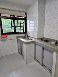 Blk 13 Holland Vista (Queenstown), HDB 3 Rooms #455128991
